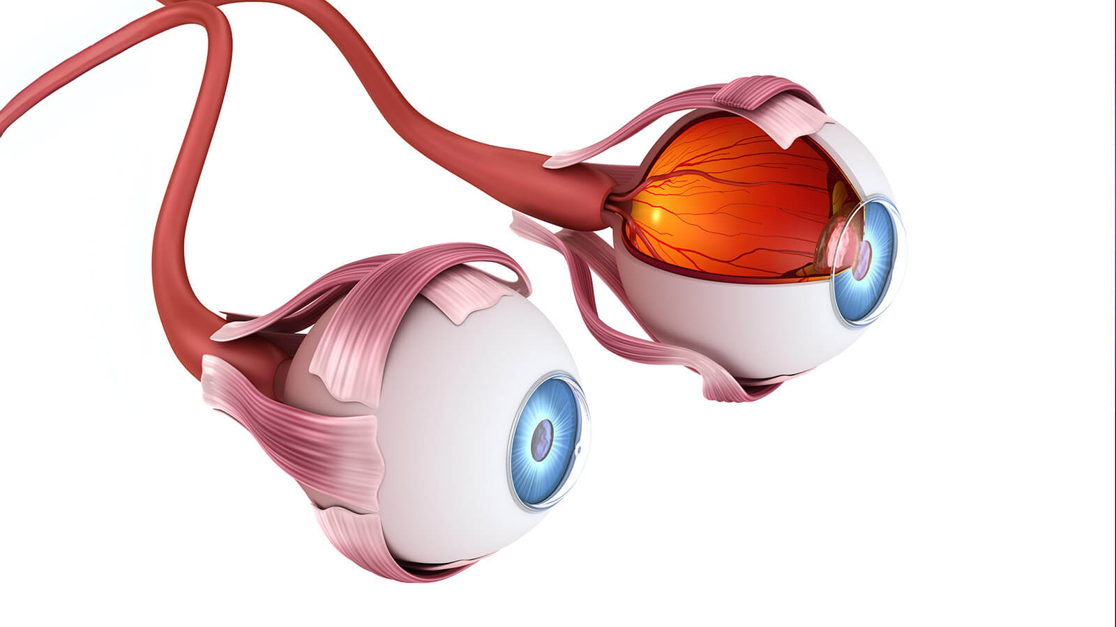 optometriai-vizsgalatok-szolnok-1